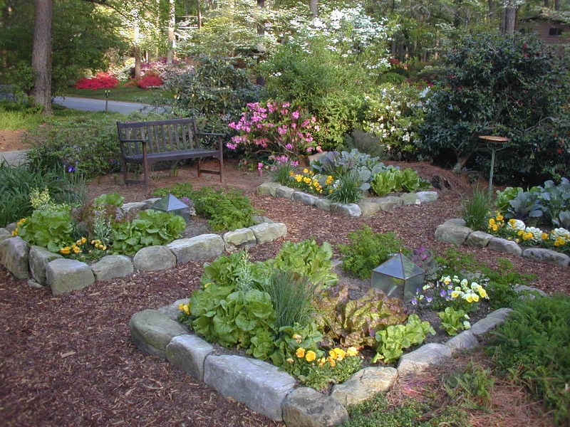 organic vegetable garden herb edible kitchen garden